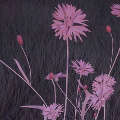 am8亚美ag旗舰厅官网app下载