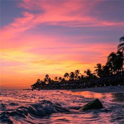 真人斗牛牛下载手机版