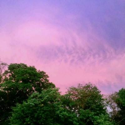 半岛App下载体育