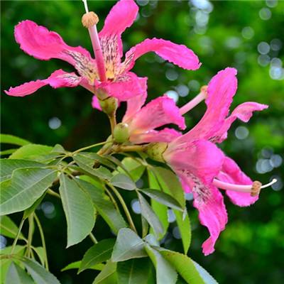 Bsport体育最新版