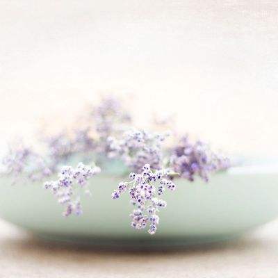 球王会官网注册